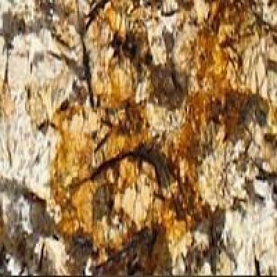 close-up of a rock with brown and black colours