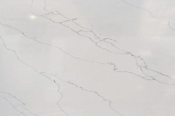 White with a thinner pencil vein grey running through