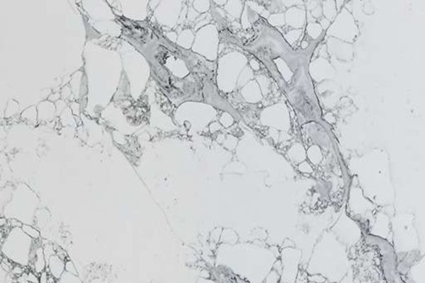 White marble looking